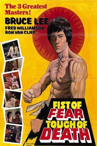 Fist of Fear, Touch of Death film afişi