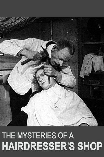 The Mysteries of a Hairdresser's Shop film afişi