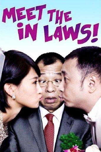 Meet the In Laws film afişi