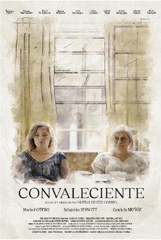 Convalescent film afişi