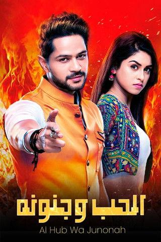 Aisi Deewangi Dekhi Nahi Kahi dizi afişi