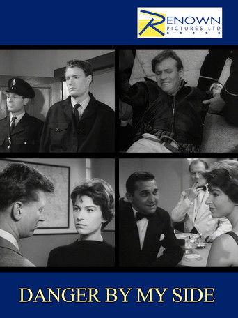 Danger by My Side film afişi