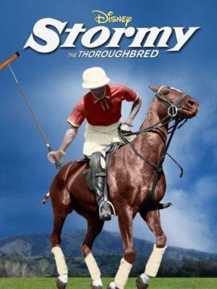 Stormy, the Thoroughbred film afişi