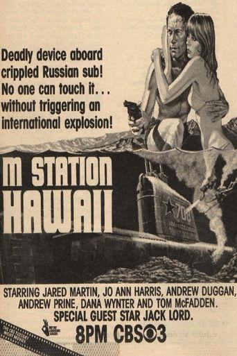 M Station: Hawaii film afişi