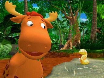 The Heart of the Jungle