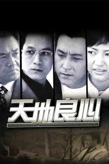 天地良心 dizi afişi