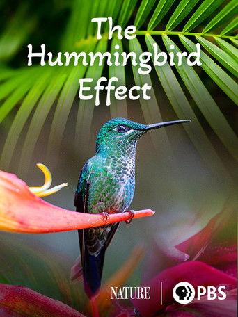 The Hummingbird Effect film afişi
