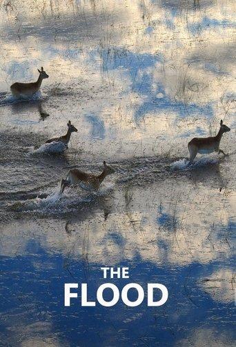 The Flood dizi afişi