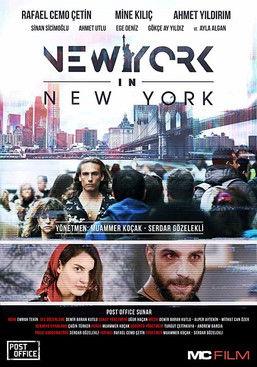 New York in New York film afişi