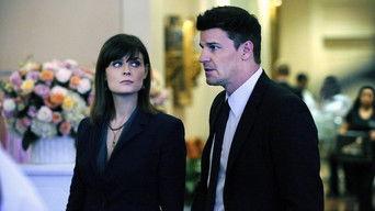 The Bikini in the Soup