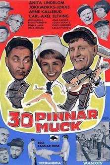 30 pinnar muck film afişi