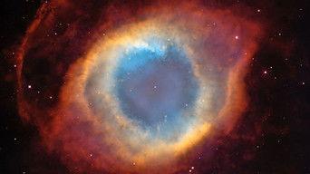 Predicting the Future