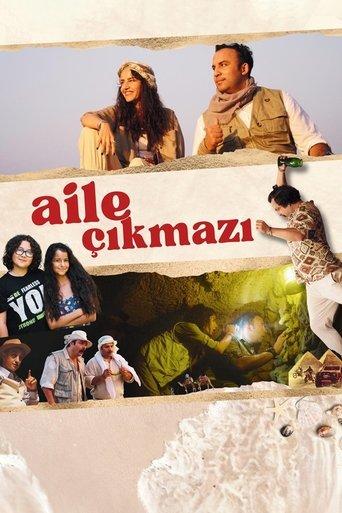 Aile Çıkmazı film afişi