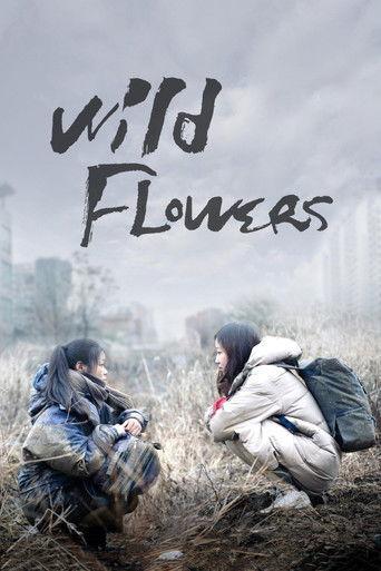 Wild Flowers film afişi