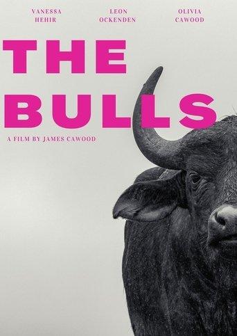 The Bulls film afişi