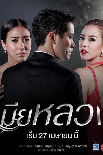 The Wife dizi afişi