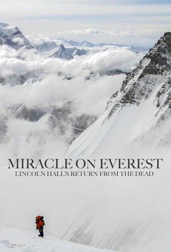 Miracle on Everest film afişi