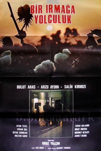 Bir Irmağa Yolculuk film afişi