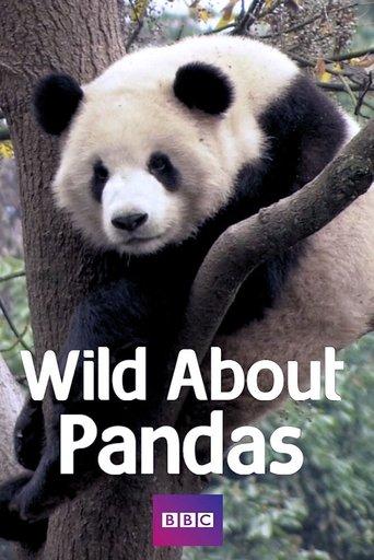 Wild About Pandas dizi afişi