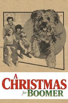A Christmas for Boomer film afişi