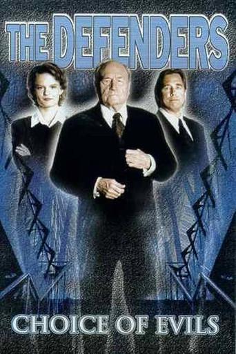 The Defenders: Choice of Evils film afişi