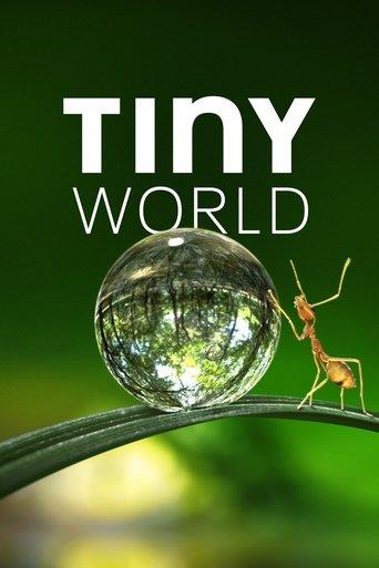 Tiny World dizi afişi