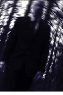 Trial of Leaves dizi afişi