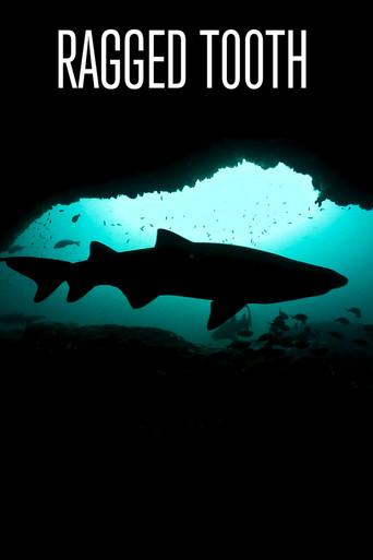 Ragged Tooth film afişi