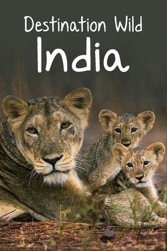 Destination Wild: India dizi afişi