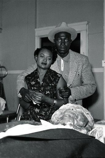 The Body of Emmett Till film afişi