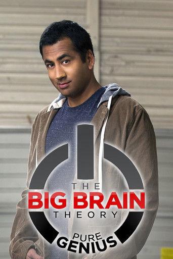 The Big Brain Theory dizi afişi