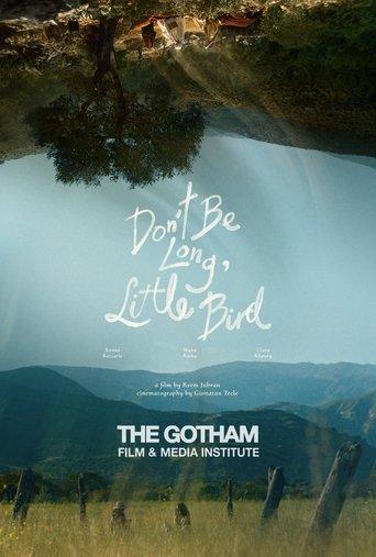 Don't Be Long, Little Bird film afişi