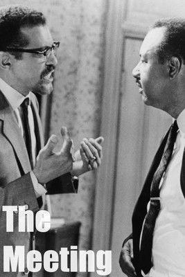 The Meeting film afişi
