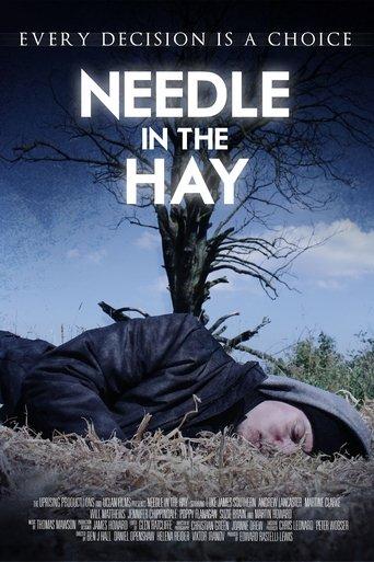 Needle in the Hay film afişi