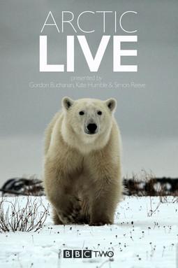 Arctic Live dizi afişi