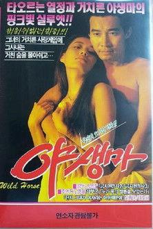 Wild Horse film afişi