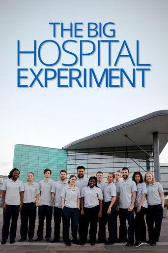 The Big Hospital Experiment dizi afişi