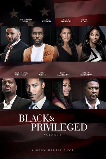 Black & Privileged: Volume 1 film afişi