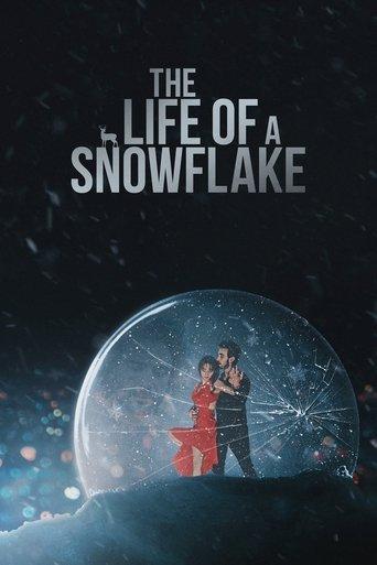 The Life of a Snowflake film afişi