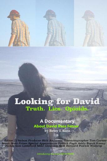 Looking for David film afişi