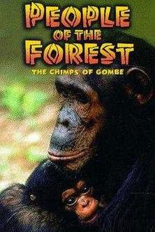 People of the Forest: The Chimps of Gombe film afişi