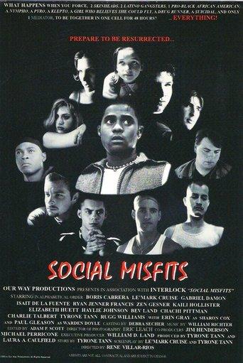 Social Misfits film afişi
