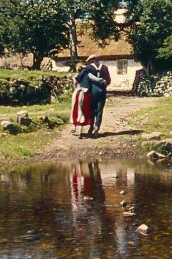 Muide Éire film afişi