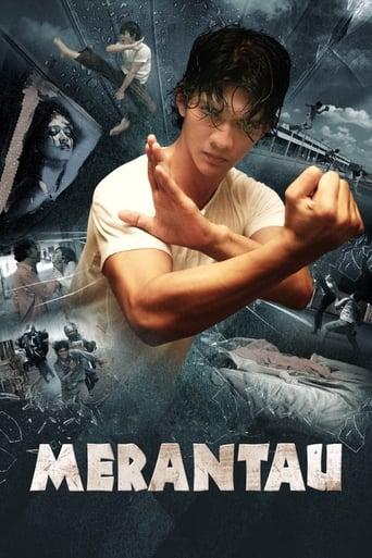 Merantau film afişi