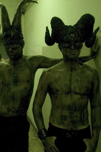 Csodálatos vadállatok film afişi