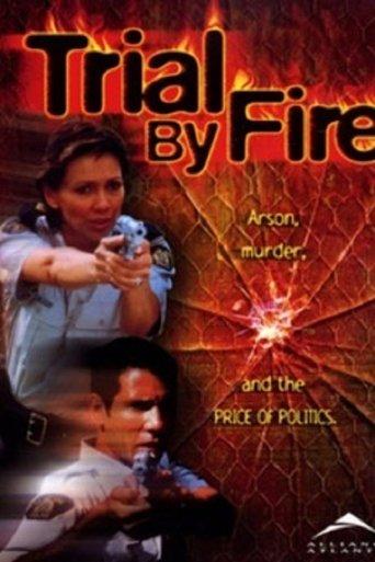 Trial By Fire: A North of 60 Mystery film afişi
