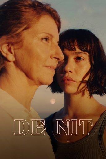 De nit film afişi