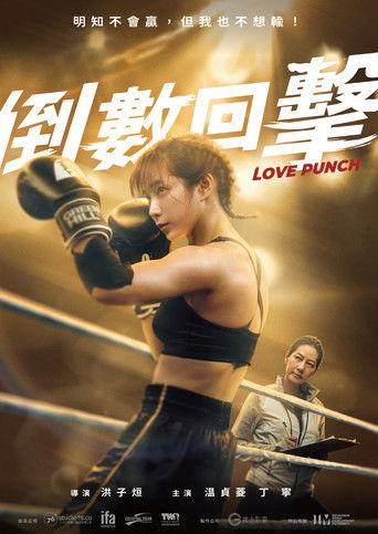 Love Punch film afişi