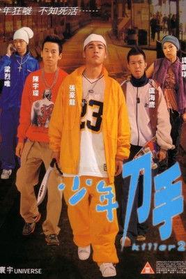 Killer 2 film afişi