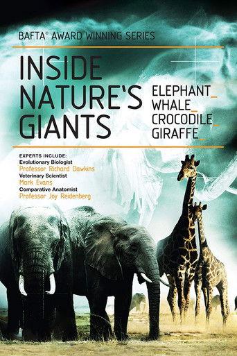 Inside Nature's Giants dizi afişi
